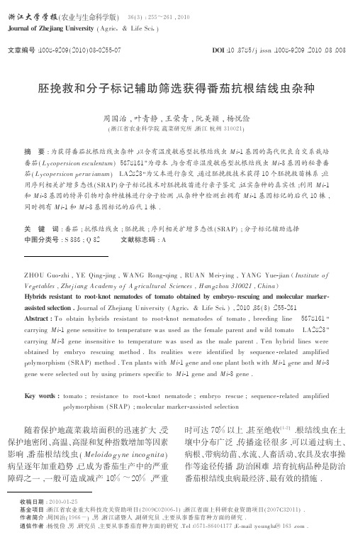 胚挽救和分子标记辅助筛选获得番茄抗根结线虫杂种