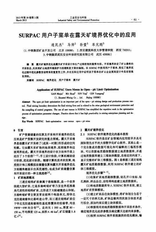 SURPAC用户子菜单在露天矿境界优化中的应用