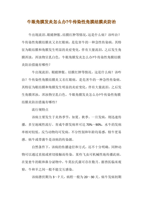 牛眼角膜发炎怎么办-牛传染性角膜结膜炎防治