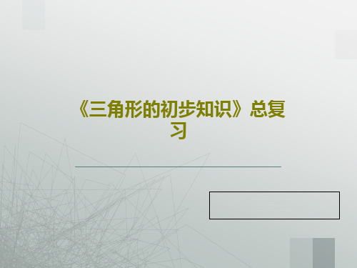 《三角形的初步知识》总复习32页PPT