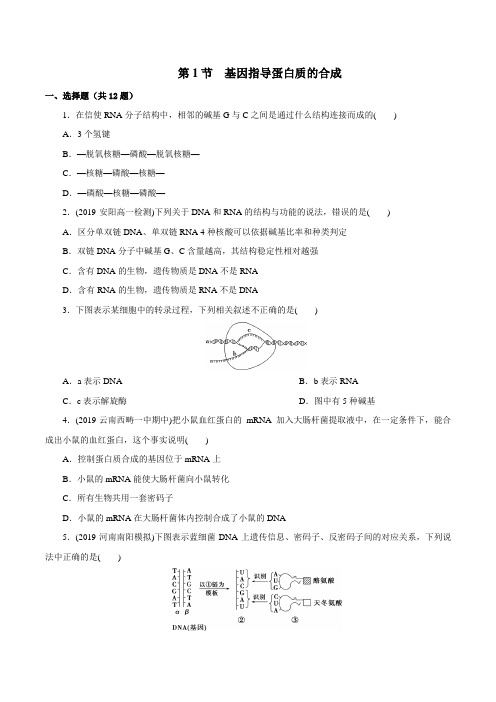 【新】高一人教版生物必修二  4.1《 基因指导蛋白质的合成 》测试题(含答案)