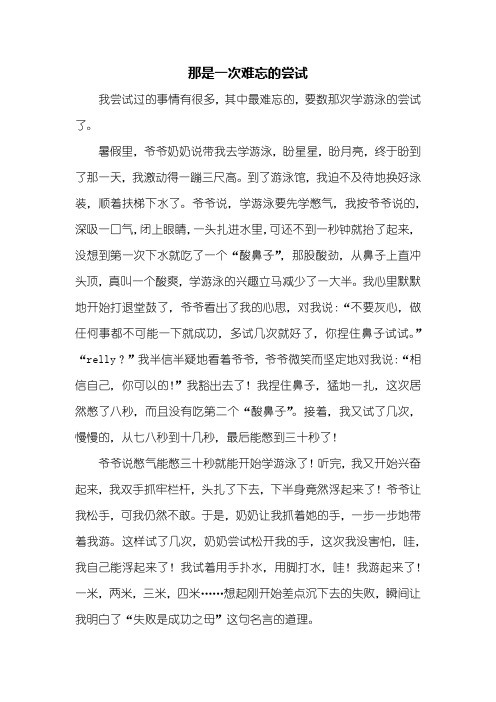 四年级作文：那是一次难忘的尝试作文600字