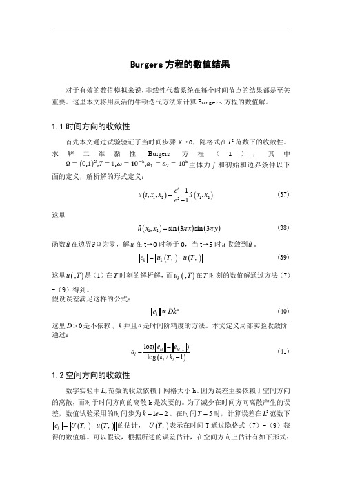 Burgers方程的数值结果