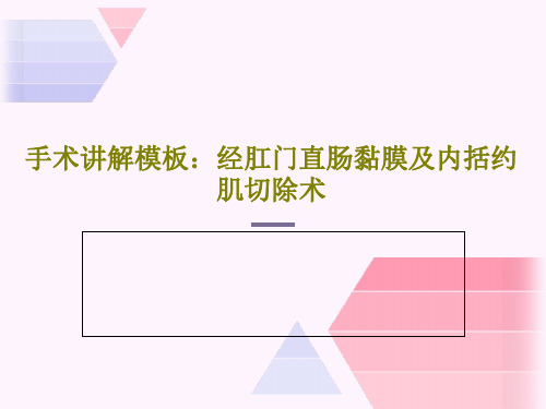 手术讲解模板：经肛门直肠黏膜及内括约肌切除术18页PPT
