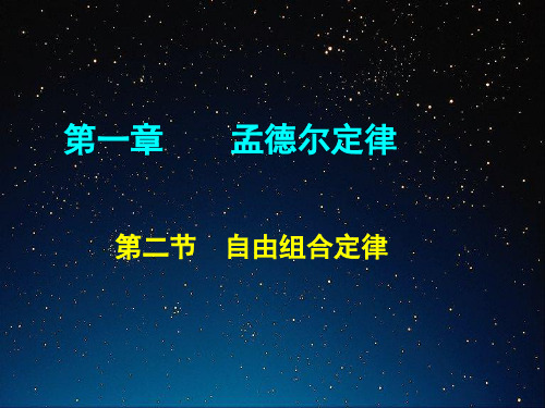 自由组合定律