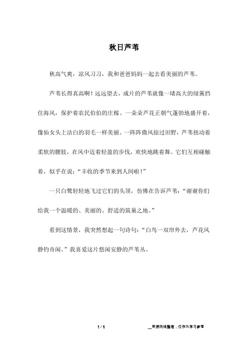 秋日芦苇