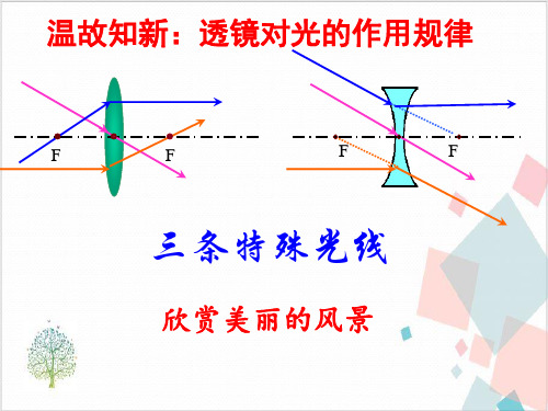 物理人教版《生活中的透镜》_PPT