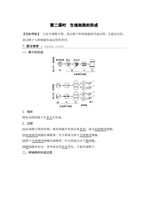 2015-2016学年高中生物(苏教版必修二)学案文档：第二章 第一节 第二课时 生殖细胞的形成 