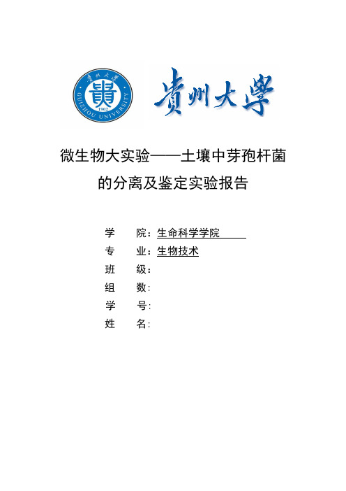 第四组微生物大实验实验报告