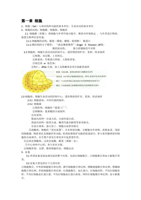 人体科学