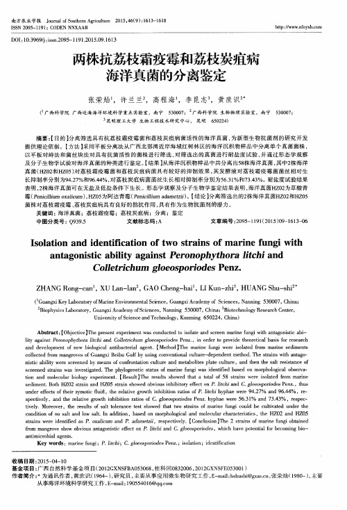 两株抗荔枝霜疫霉和荔枝炭疽病海洋真菌的分离鉴定