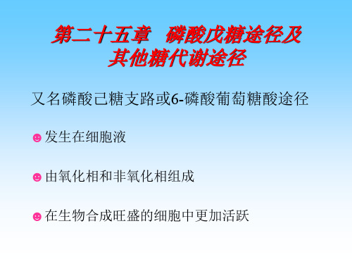 磷酸戊糖途径及其他糖代谢途径