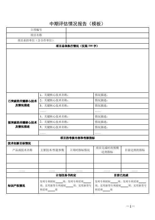 中期评估情况报告(模板)