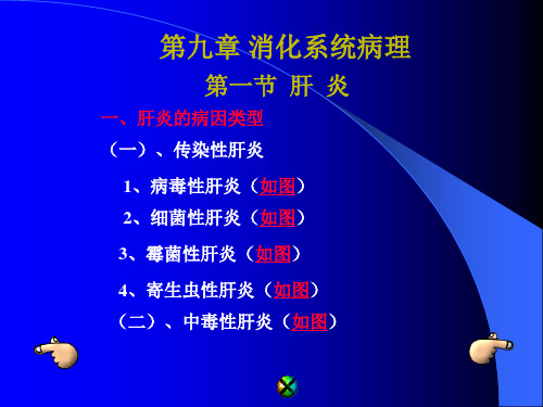 消化系统病理 PPT