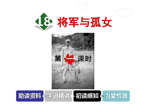 六年级上册语文课件-18.将军与孤女 第1课时冀教版