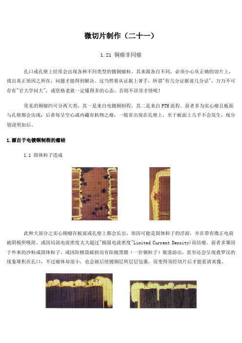 微切片21