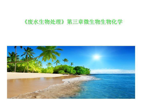 《废水生物处理》第三章微生物生物化学