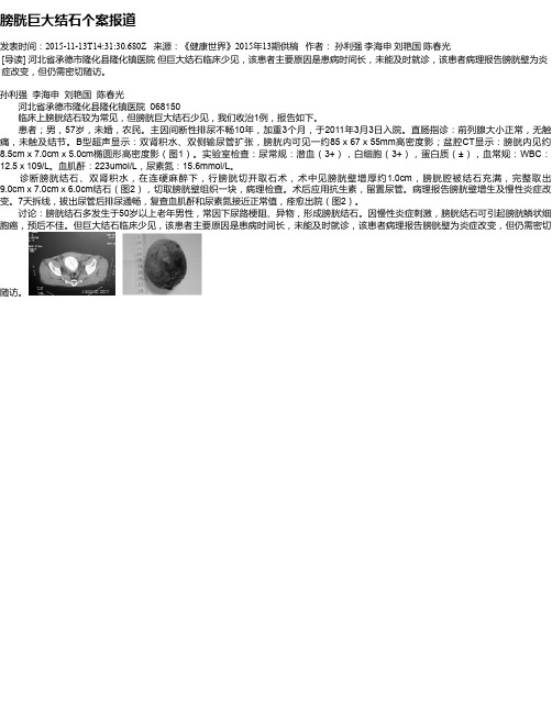 膀胱巨大结石个案报道