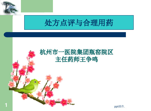 处方点评与合理用药ppt课件