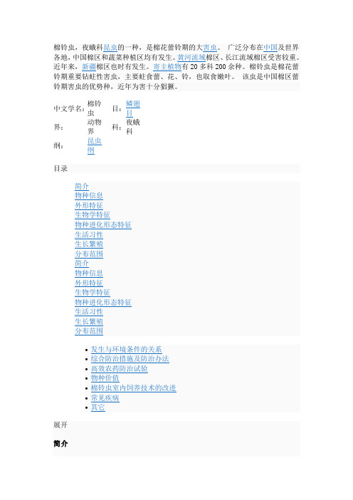 棉铃虫