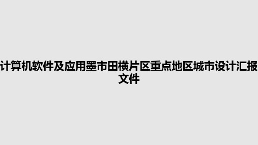 计算机软件及应用墨市田横片区重点地区城市设计汇报文件PPT教案