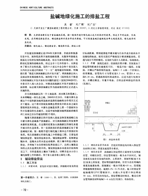 盐碱地绿化施工的排盐工程