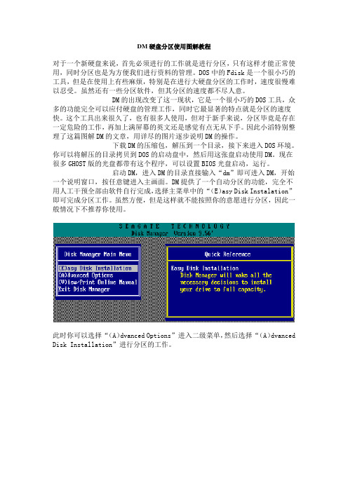 DM硬盘分区使用图解教程
