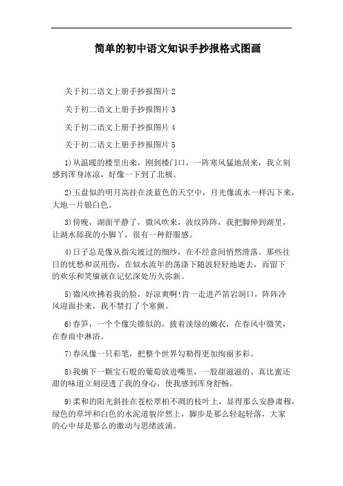 简单的初中语文知识手抄报格式图画