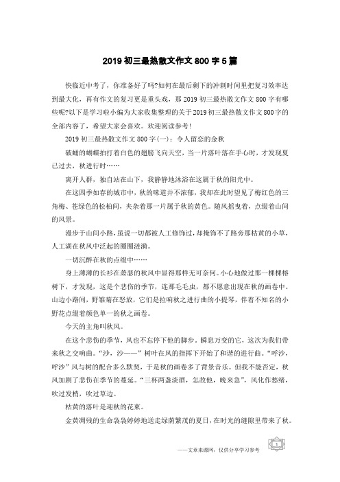 2019初三最热散文作文800字5篇