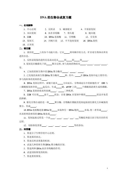 DNA的生物合成复习题