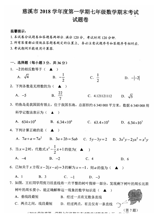 浙江宁波慈溪市2018学年第一学期七年级期末考试数学试题及答案