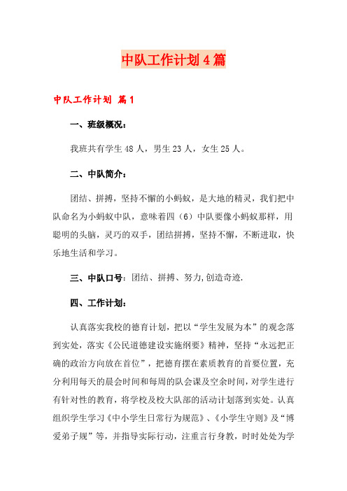 中队工作计划4篇