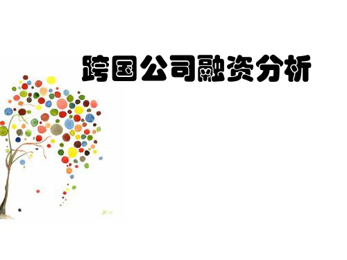 跨国公司融资分析