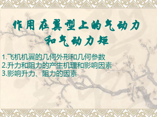 3.机翼的几何外形和气动力和气动力矩(4学时)_再修改