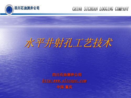 水平井资料