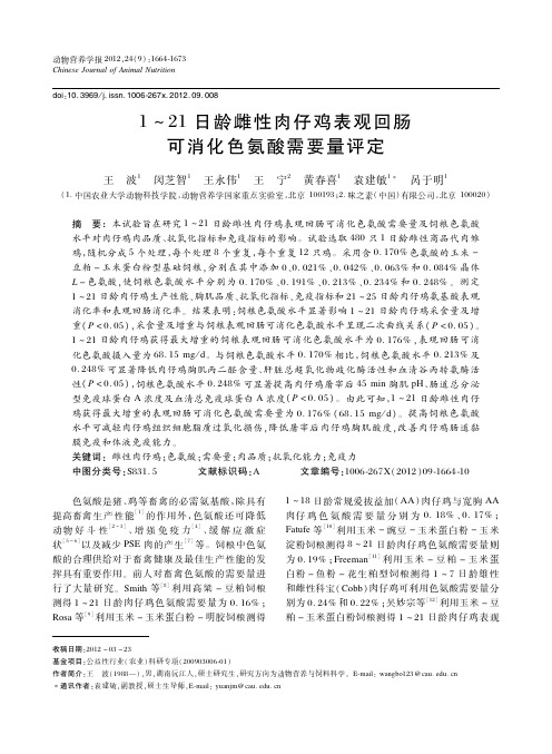1～21日龄雌性肉仔鸡表观回肠可消化色氨酸需要量评定