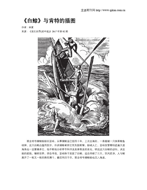 《白鲸》与肯特的插图