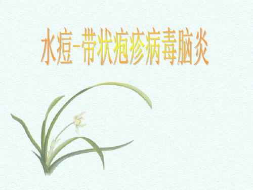 水痘带状疱疹病毒性脑炎.ppt
