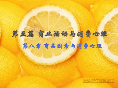 消费者心理学作业