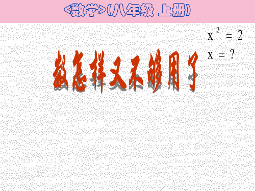 [初二数学]21 1数怎么又不够用了ppt课件