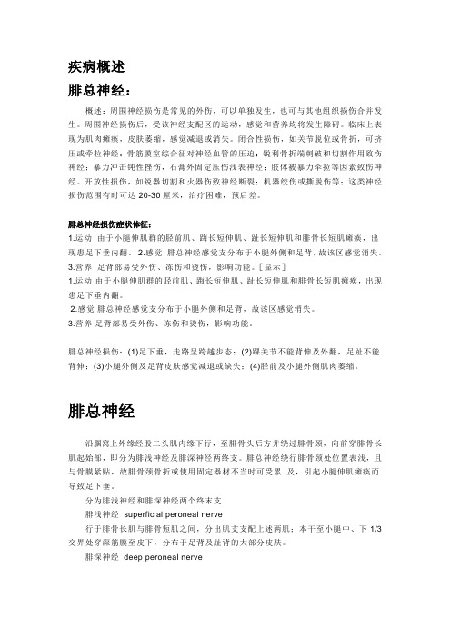 腓总神经损伤疾病概述