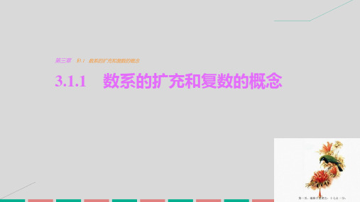 2016-2017学年高中数学新人教版选修2-2课件：第三章 数系的扩充与复数的引入3.1.1数系的