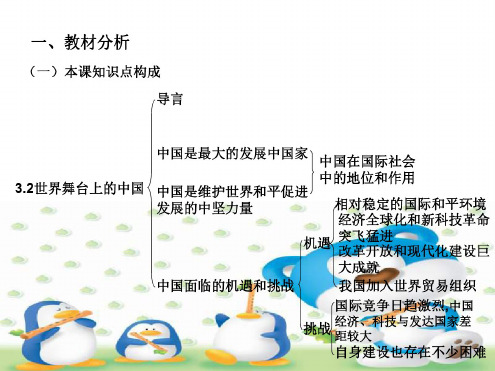 九年级政治世界舞台上的中国