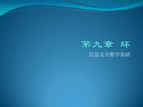 信息安全数学基础ch10环