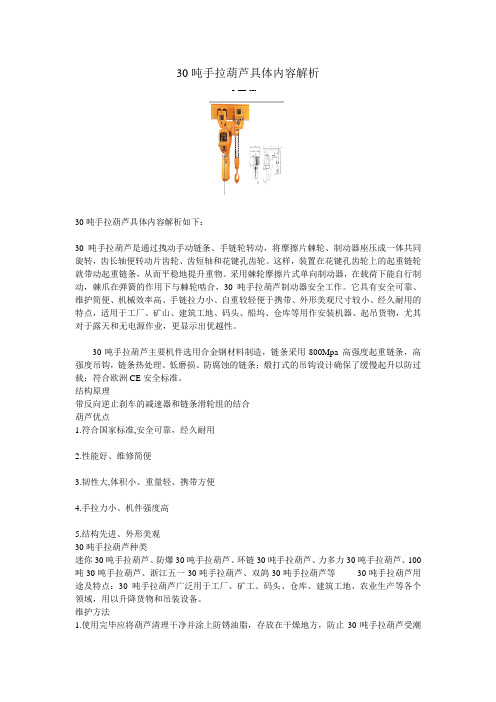 30吨手拉葫芦具体内容解析