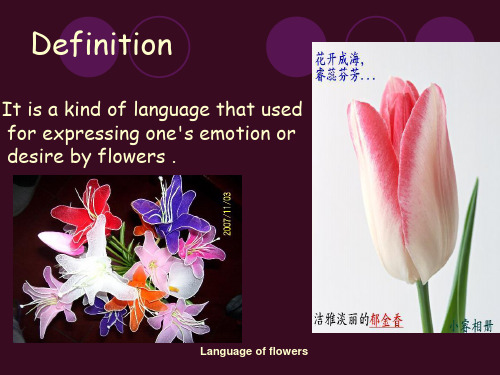 language_of_flowers_花语英文ppt - 副本-15页文档资料