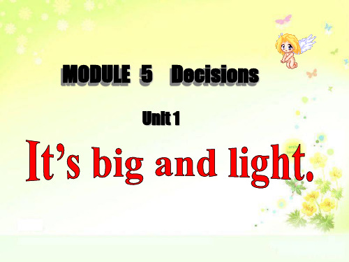 五年级下册英语课件-M5 Unit1 it's big and light｜外研版(三起)     