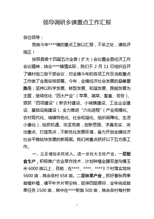 领导调研乡镇重点工作汇报