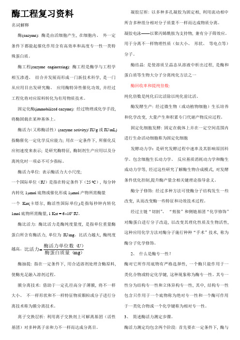 食品专业酶工程复习资料