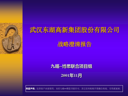 九略—东湖高新—集团战略澄清组织调整及绩效管理方案